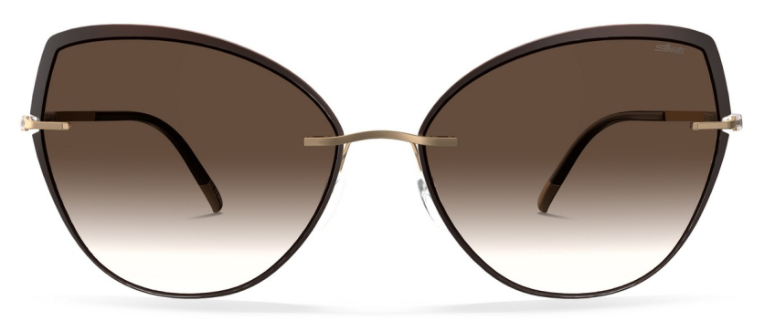 Описание изображения.