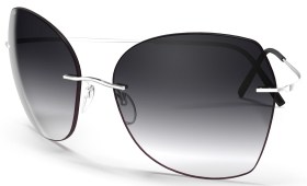 Описание изображения.