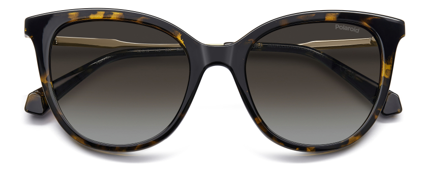 Описание изображения.