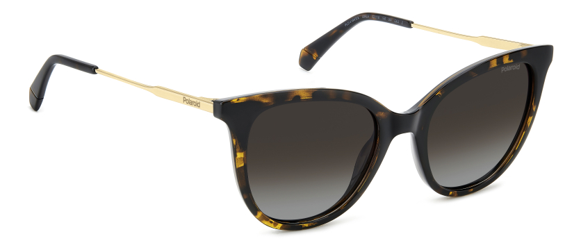 Описание изображения.